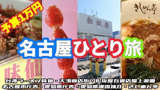 【名古屋ひとり旅】予算1万円でぶらり観光！（大須商店街/味仙ラーメン/松坂屋屋上遊園/名古屋市庁舎/きしめん亭）