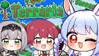 【テラリア/Terraria】最終回！初見でテラリア始めてみる！9日目ぺこ！【ホロライブ/兎田ぺこら】