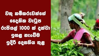 වතු කම්කරුවන්ගේ දෛනික වැටුප රුපියල් 1000 ක් දක්වා ඉහළ නැංවීම ඉදිරි දෙසතිය තුළ