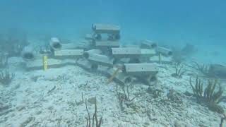 Reefsystems: Artificial reef set up to research effect of coral transplantation