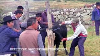 HERRANZA DE CHAVAL DE LARCAY / FAMILIA VELESQUEZ / ESTANCIA CURITA / 2023