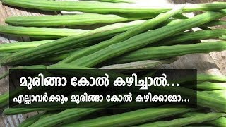 മുരിങ്ങാ കോൽ കഴിച്ചാൽ... എല്ലാവർക്കും മുരിങ്ങാ കോൽ കഴിക്കാമോ...