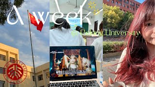 Vlog#18 A week @Peking University 我在北大的日常🍁｜北京大学、中国留学、新传日常｜PKU VLOG