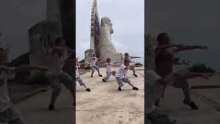 心裏有個夢，想去嵩山少林寺學武術#中國功夫#嵩山少林寺#