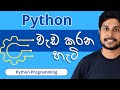 03. Python වැඩ කරන හැටි | Python Programming | Sinhala