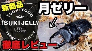 月夜野きのこ園の新商品 月ゼリーを使ってみた【クワガタ飼育】