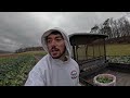 harvesting broccoli shoots