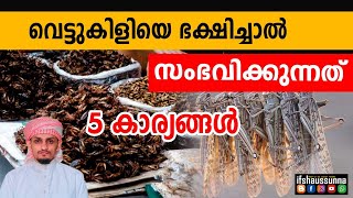 വെട്ടു കിളിയെ ഭക്ഷിച്ചാൽ സംഭവിക്കുന്നത് : 5 കാര്യങ്ങൾ