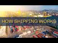 Freight Forwarding Explained in 5 Minutes (Air, Ocean, LCL & FCL Basics)