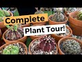 Complete Collection Plant Tour part 2|Cactus, Succulents, Desert Plants