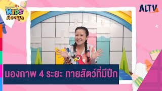 มองภาพ 4 ระยะ ทายสัตว์ที่มีปีก : คิดสนุก