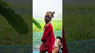 সিঙ্গুর টুনটুনি খুঁজে পাওয়া যাচ্ছে না #comedyvideos #comedyshorts #spsohel #comedy