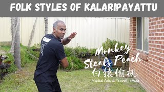 Kalaripayattu p2 - Folk Styles, Adimurai, China-India Connection @kalaristudies