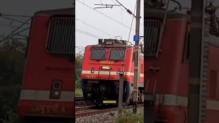 WAP-4 😍 Red Beast Of Indian Railways 😍💯🔥 #shorts