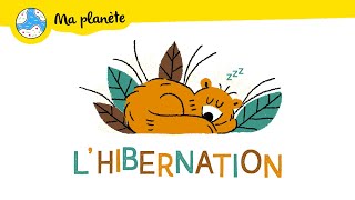 L'hibernation expliquée aux enfants - Ma Planète #18