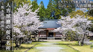 『人吉球磨の桜の名所』