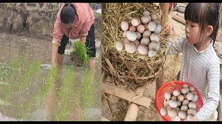 Two daughters stayed at home to cook and wait for Ly and Nam to plant rice.