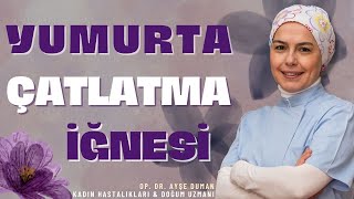 Yumurta Çatlatma İğnesi Nedir?