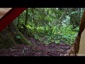 raindrops on a tent in the forest 10 hr sounds for sleep study focus and relaxation