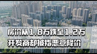 房价从1.8万跌至1.2万，开发商被指恶意降价，房价不涨还不让降吗