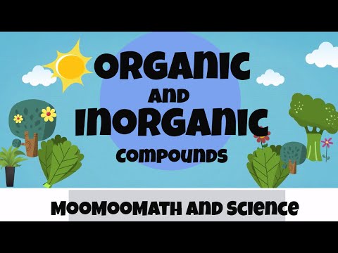 What are the 3 inorganic molecules?