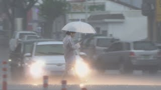 '가을장마'에 제주 물 폭탄…9월 초까지 잦은 비 / 연합뉴스TV (YonhapnewsTV)