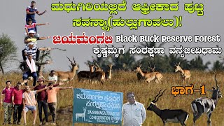 ಜಯಮಂಗಲಿ ಕೃಷ್ಣಮೃಗ ವನ್ಯಜೀವಿಧಾಮ/Jayamangali Black buck Reserve forest/madhugiri/@thankyoutvkannada