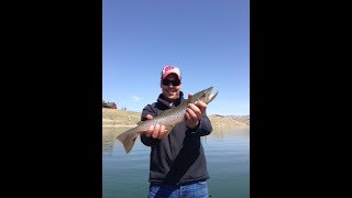 Jon Paulson Funeral Service