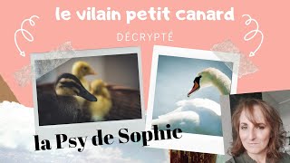 Sophie la Psy : le vilain petit canard décrypté