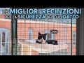 IL MONDO DEI GATTI : LE MIGLIORI RECINZIONI PER LA SICUREZZA DEL TUO GATTO - UNIVERSO FELINO