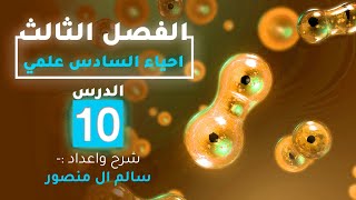 المحاضرة  (10) | التكاثر في النباتات الزهرية.