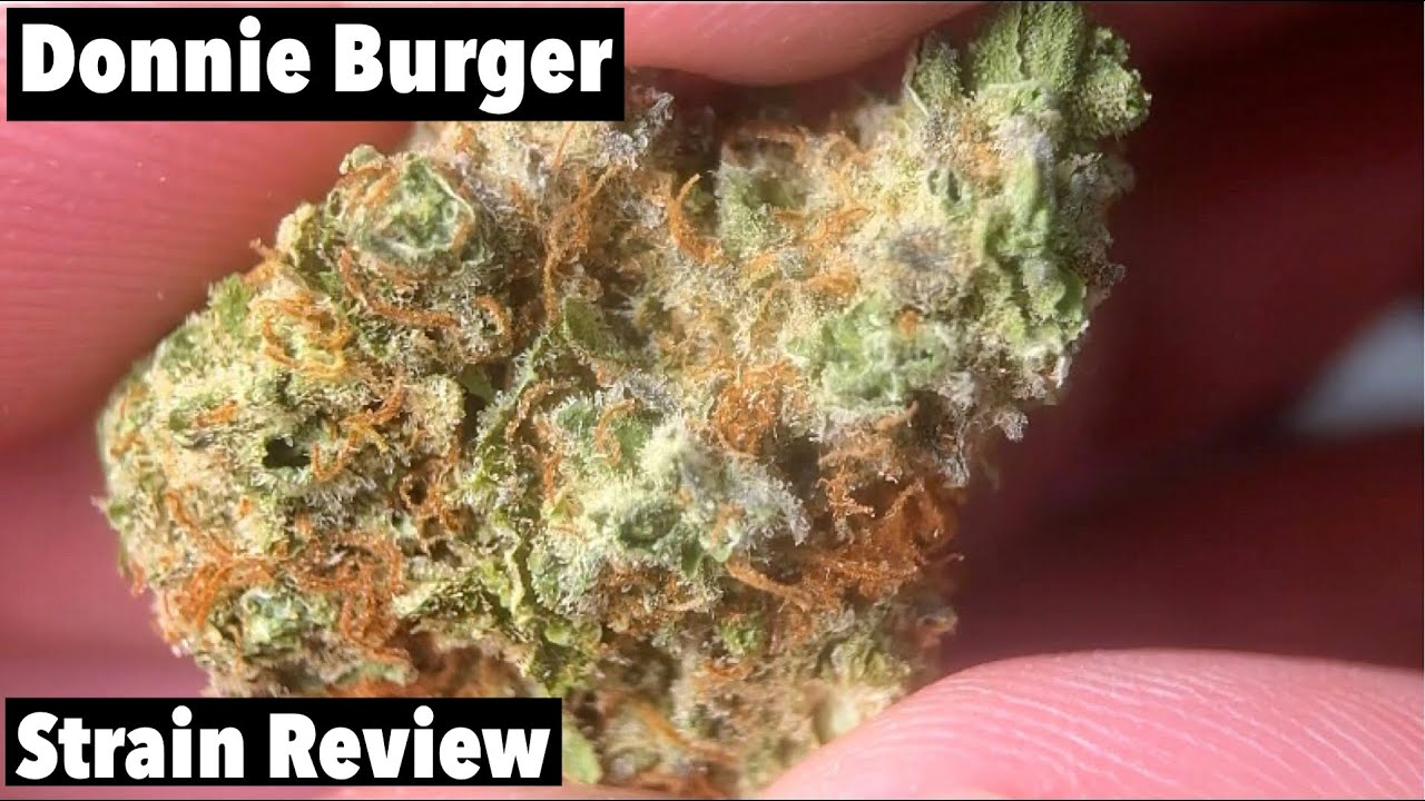 Donnie Burger Weed (Strain Review) - YouTube