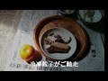 貧乏な極貧飯　第1回　ブリ大根の煮汁までどこかに消えた meal scene of the poor in japan