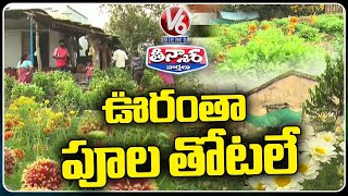 Vigorous Export Of Flowers In Adilabad | Godariguda As Flower Village | V6 Weekend Teenmaar