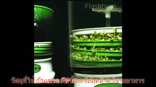 เครื่องปลูกถั่วงอกและเพาะเมล็ดธัญพืช [Automatic Bean Sprout Machine]