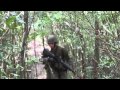 Marines Navigate the Okinawa Jungle - Jungle Warfare Survival Training