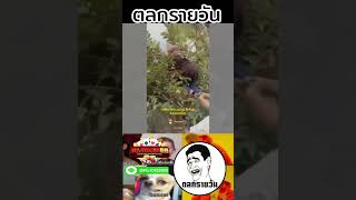 #รวมคลิปตลก รวมคลิปฮาๆ รวมคลิปขำๆ Ep.48 #คลิปตลก #รวมคลิปตลก