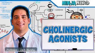 Autonomic Pharmacology | Cholinergic Agonists