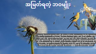 အမြတ်ရတဲ့ဘဝမျိုး ၊ နိုင်းနိုင်းစနေ - တစ်သက်တာအဖော်