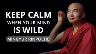 Keep Calm When Your Mind Is Wild - with Yongey Mingyur Rinpoche