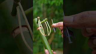 Bamboo creation Eco friendly Bamboo Toys #diy #slingshot