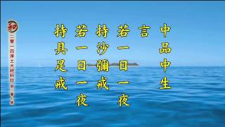 淨空老法師:2014淨土大經科註（第三零七集）{最新*文言文快覩版}