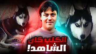 الكلب كان السبب الأول في حل القضية والقبض على الفاعل - تم حلها