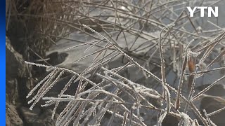 [날씨] 성탄절 연휴, 북극한파 맹위...내일 낮부터 누그러져 / YTN