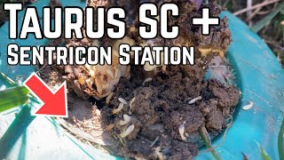 Taurus SC Application + Infested Sentricon Station!