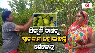 Jajpur Man Earning Good Income Through Thailand Guava Farming