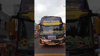 BUS CAKEP TERANG #shotrs #teloletbasuri #basuribus #buscakepterang #busmania #basuri