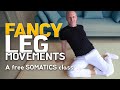 FANCY LEG MOVEMENTS - A FREE Somatics class (by Alfons)