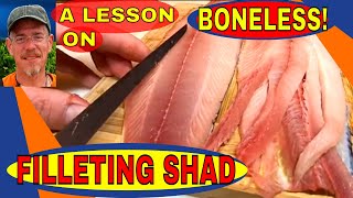 HOW TO FILLET SHAD TOTALLY BONELESS/JERSEY JIM FISH VLOG