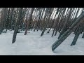 skiing glades in montana